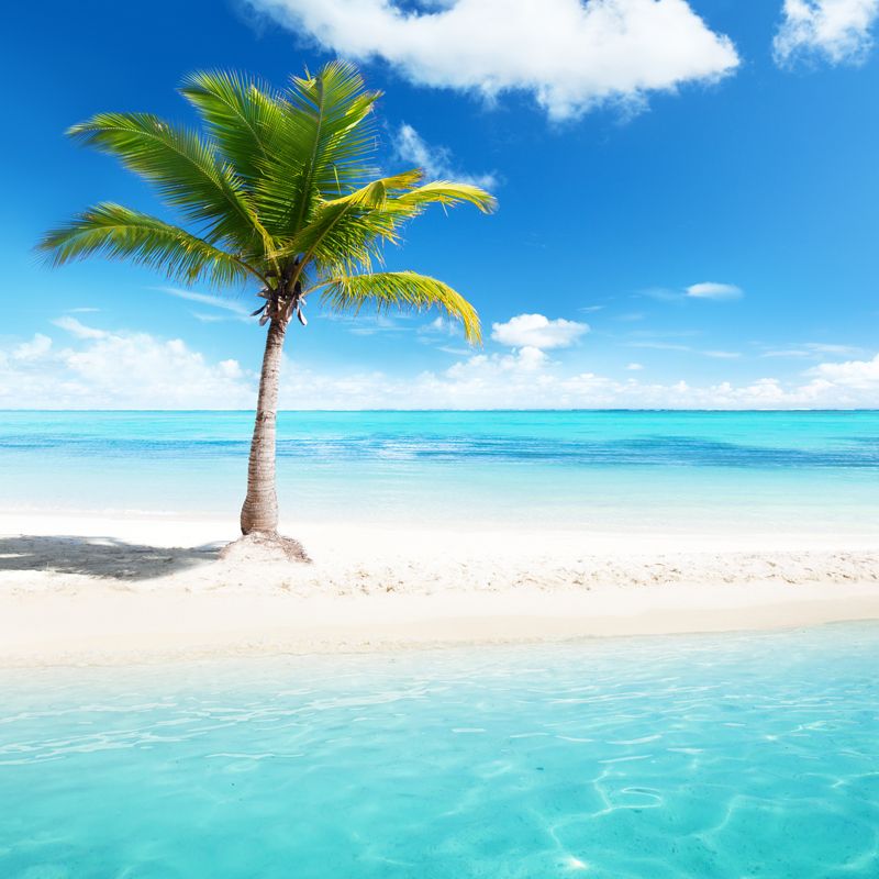 Affresco Лучшие пейзажи ID12874