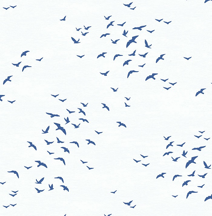 KT ExclusiveNavy, Gray and White bl70422