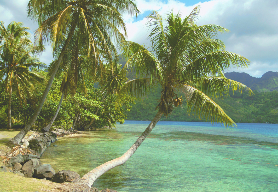 Affresco фотографии природы 6132