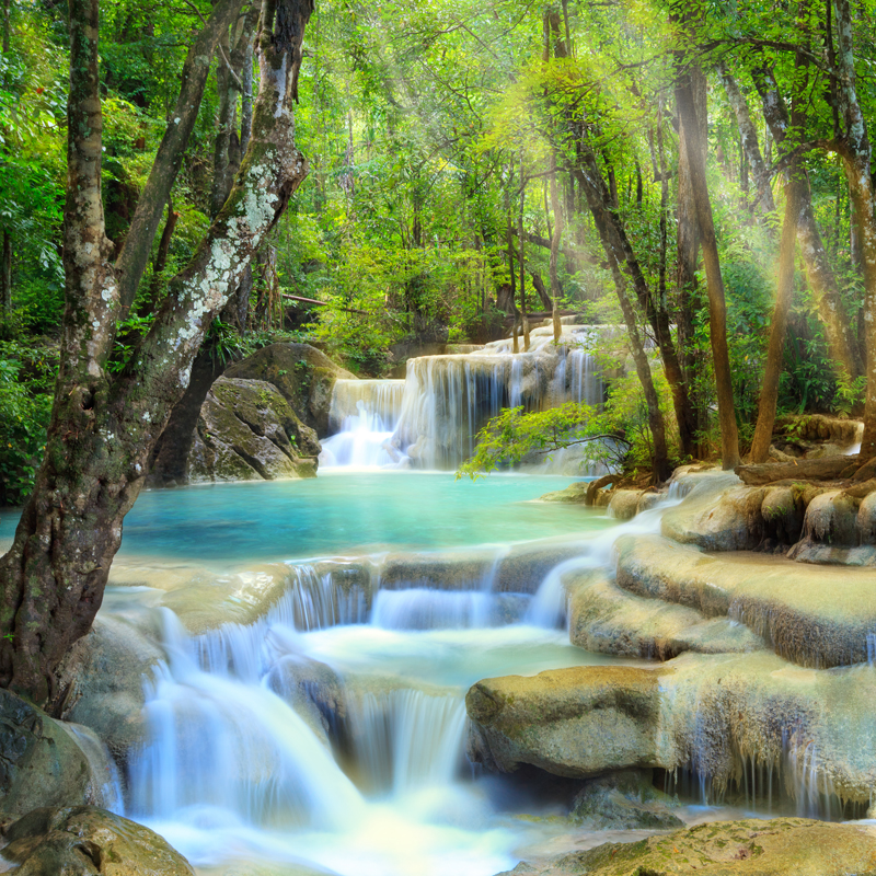 Affresco фотографии природы ID10423