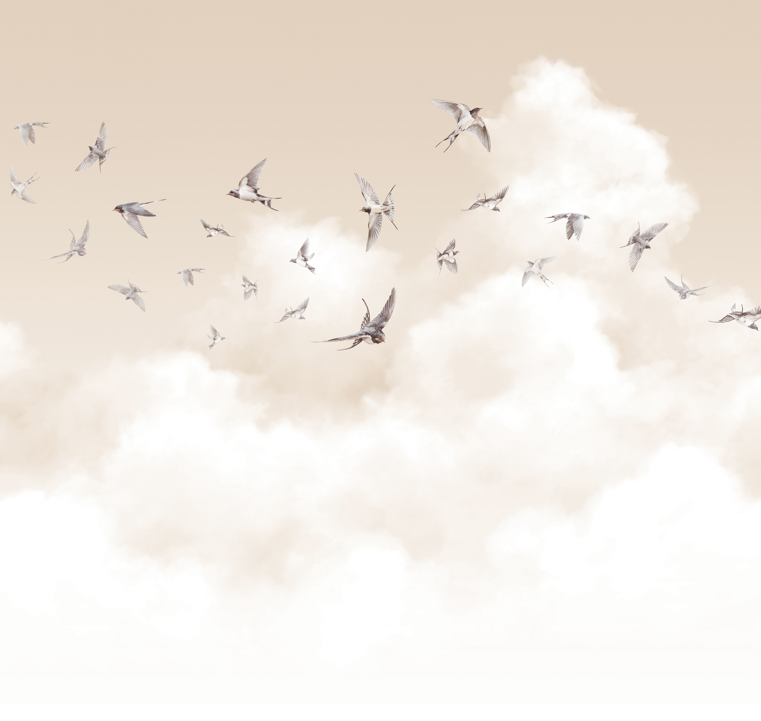 Milassa Spring Swallows AM11 002