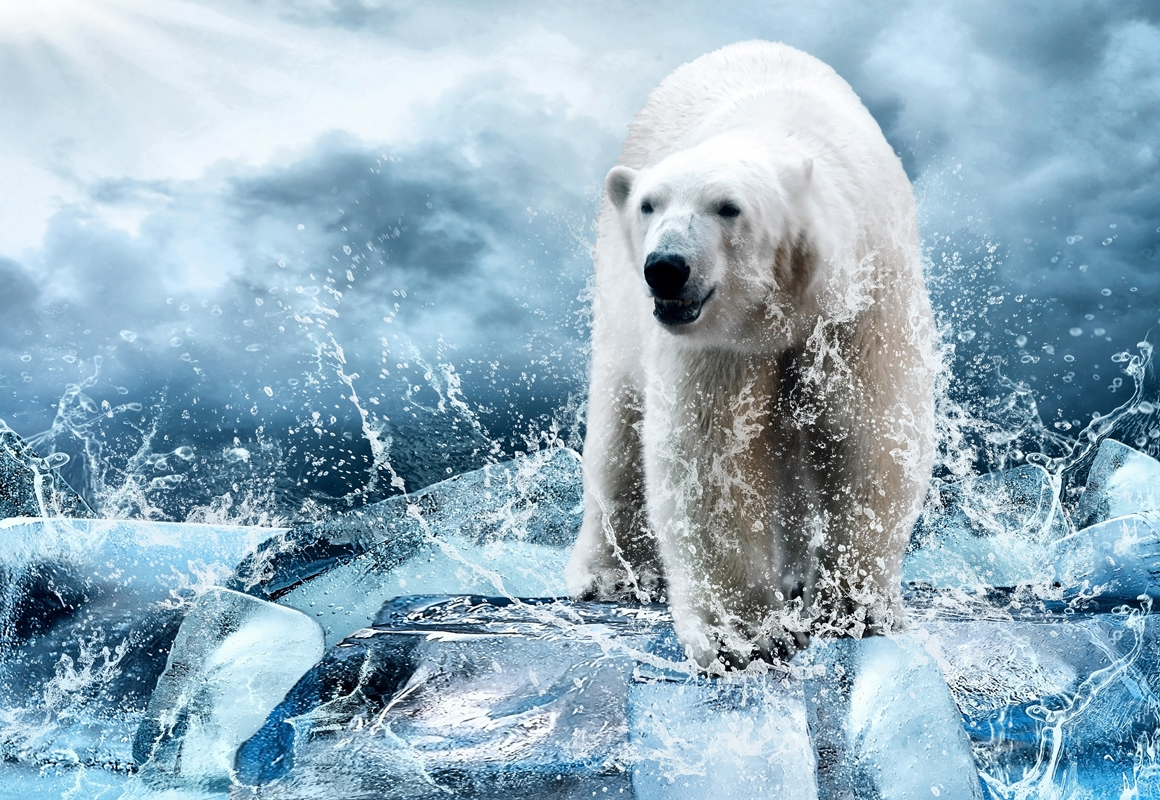 Affresco фотографии природы ID13537