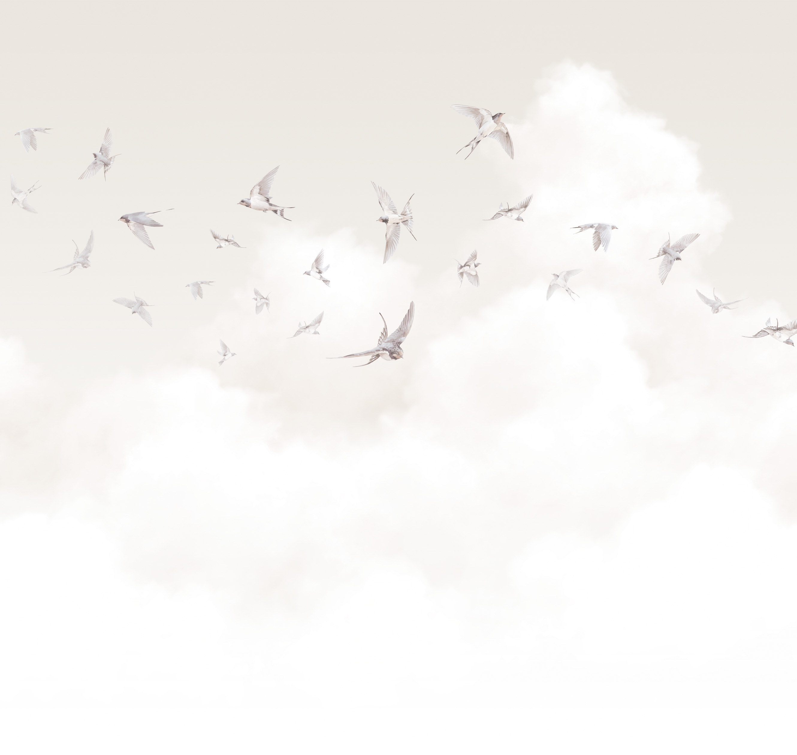 Milassa Spring Swallows AM11 001