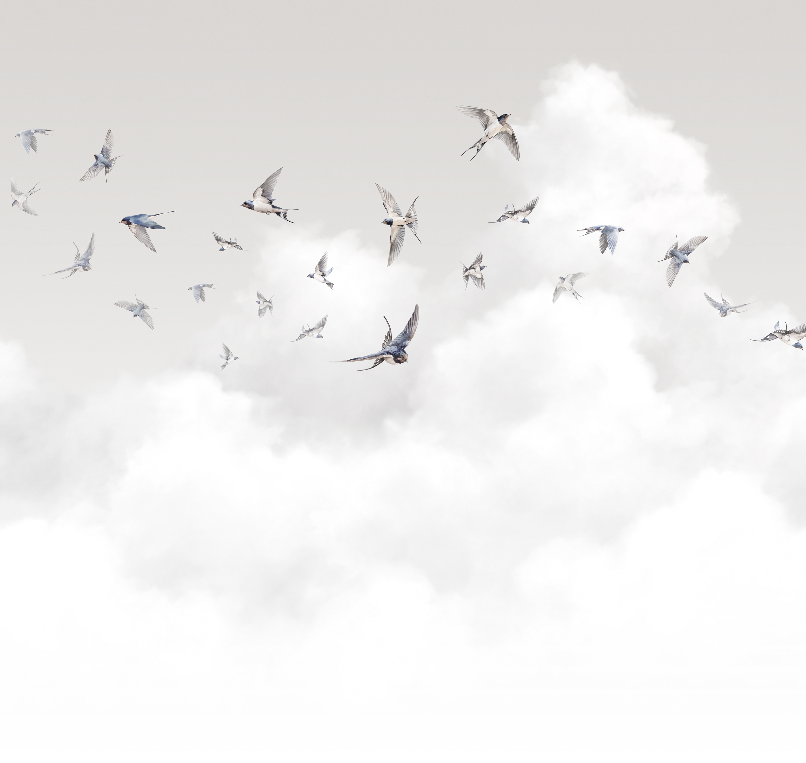 Milassa Spring Swallows AM11 011