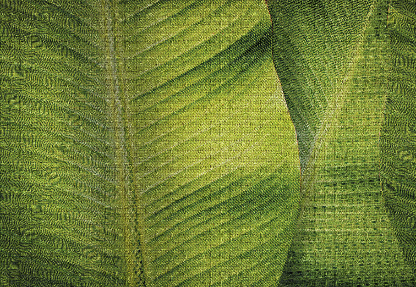 Affresco Природа ID136392