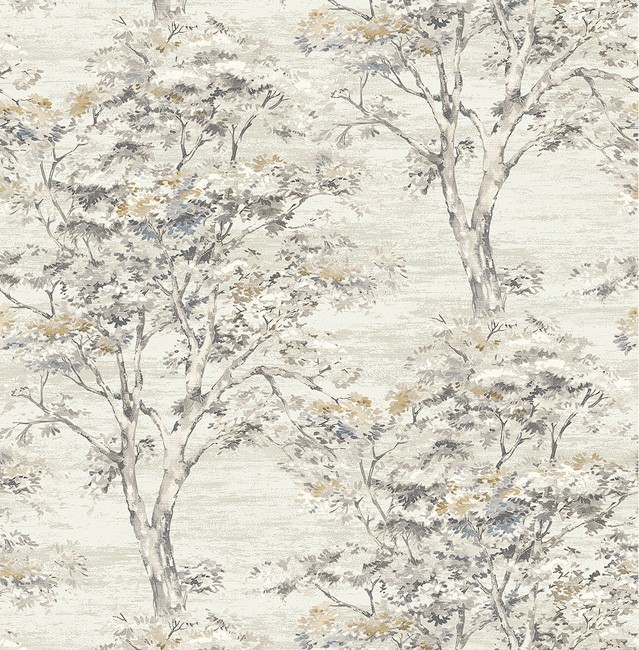 KT ExclusiveSuede se31308