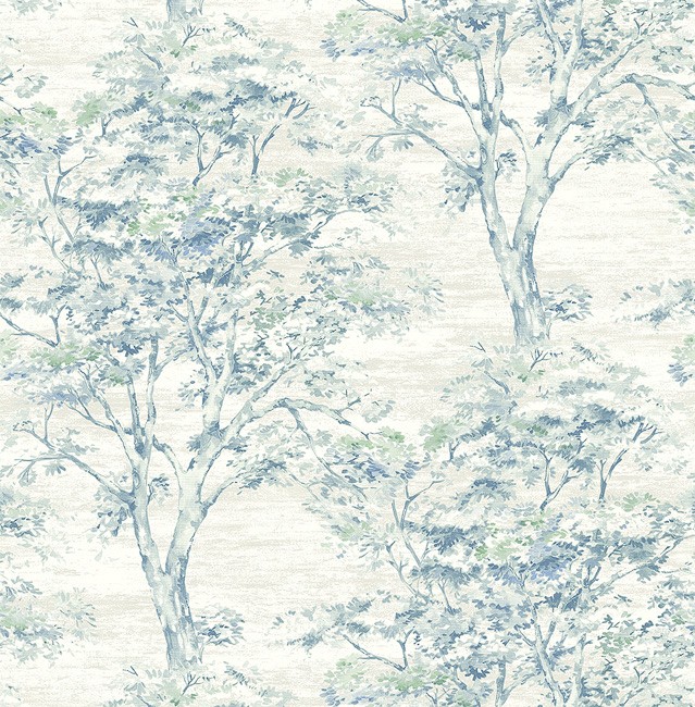 KT ExclusiveSuede se31302