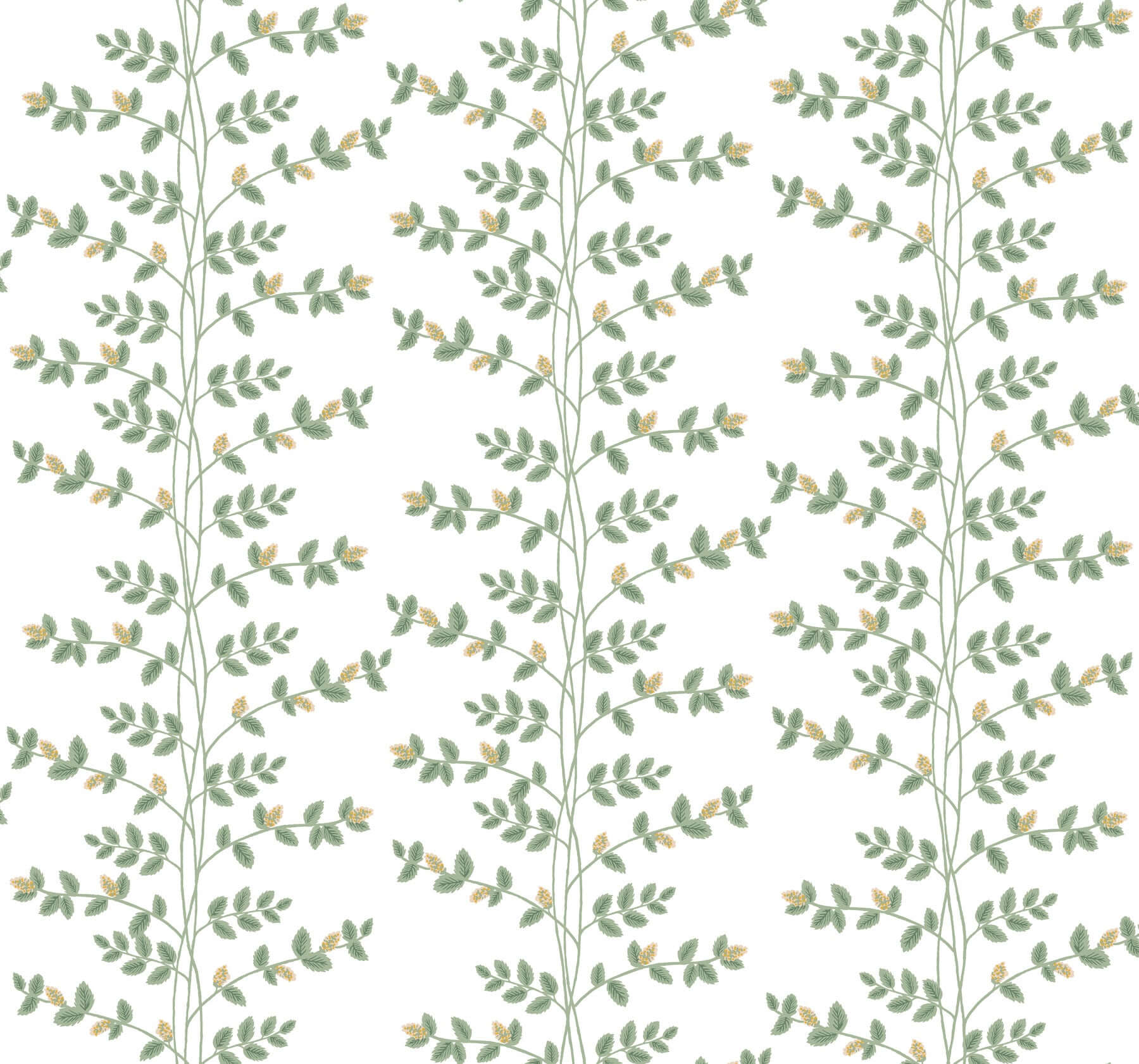 York  Rifle Paper Co. Wallcoverings  Climbing Vine Wallpaper- White & Gold RF7424