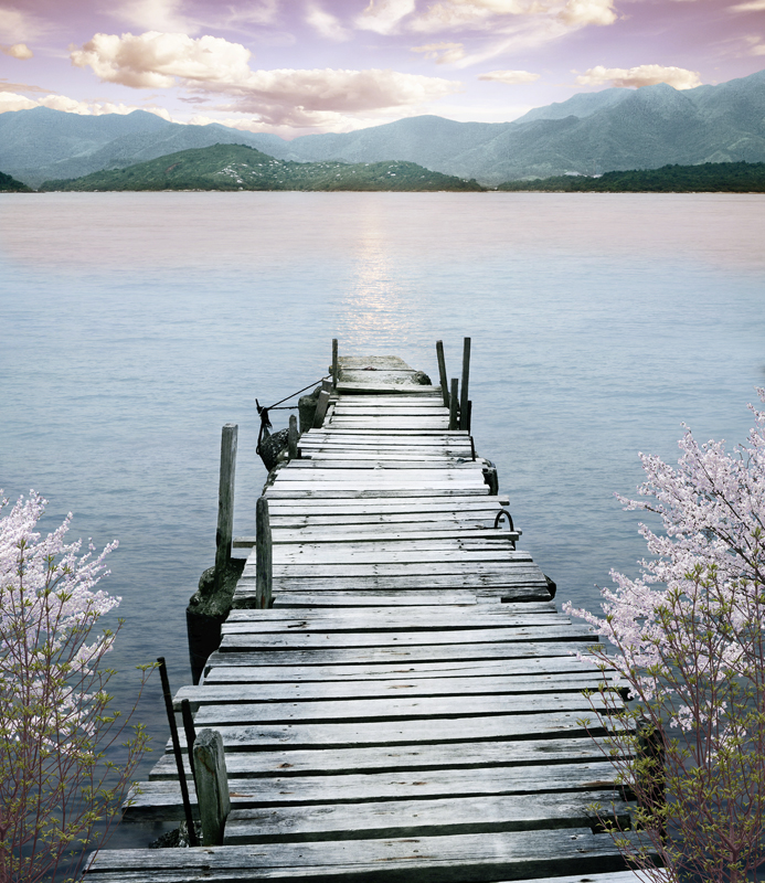 Affresco фотографии природы ID11054