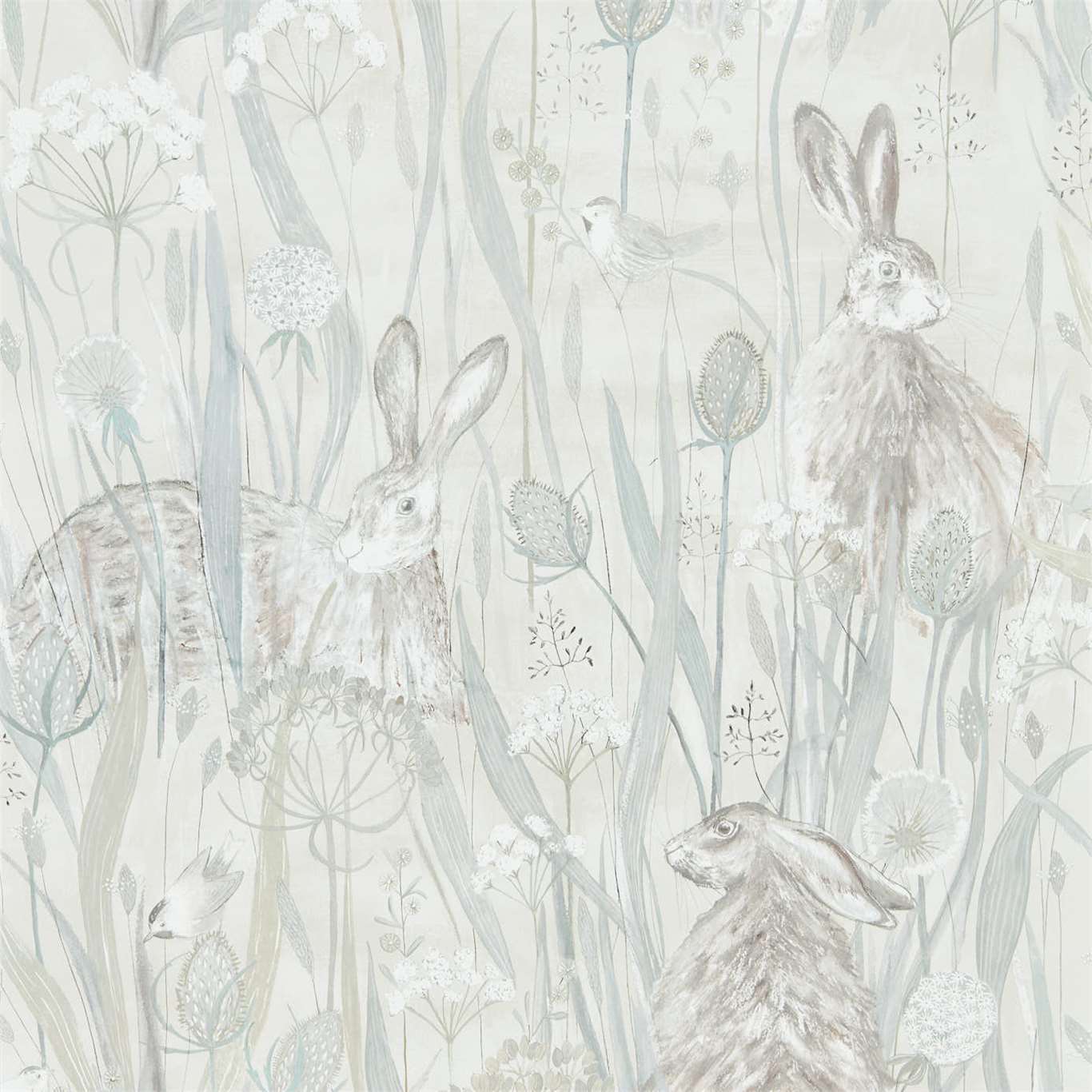 Sanderson Embleton Bay Wallpapers Dune Hares  DEBB216518