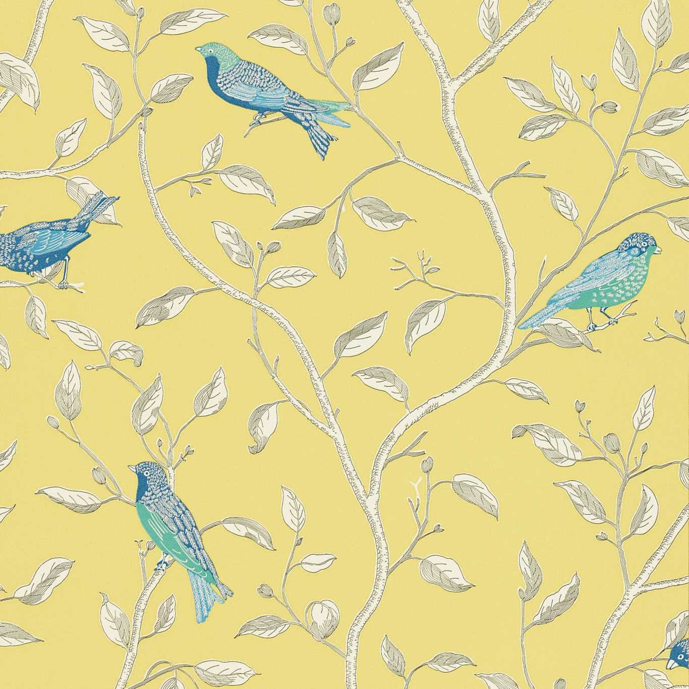 Sanderson Sanderson One Sixty Wallpapers Finches  DOPWFI101