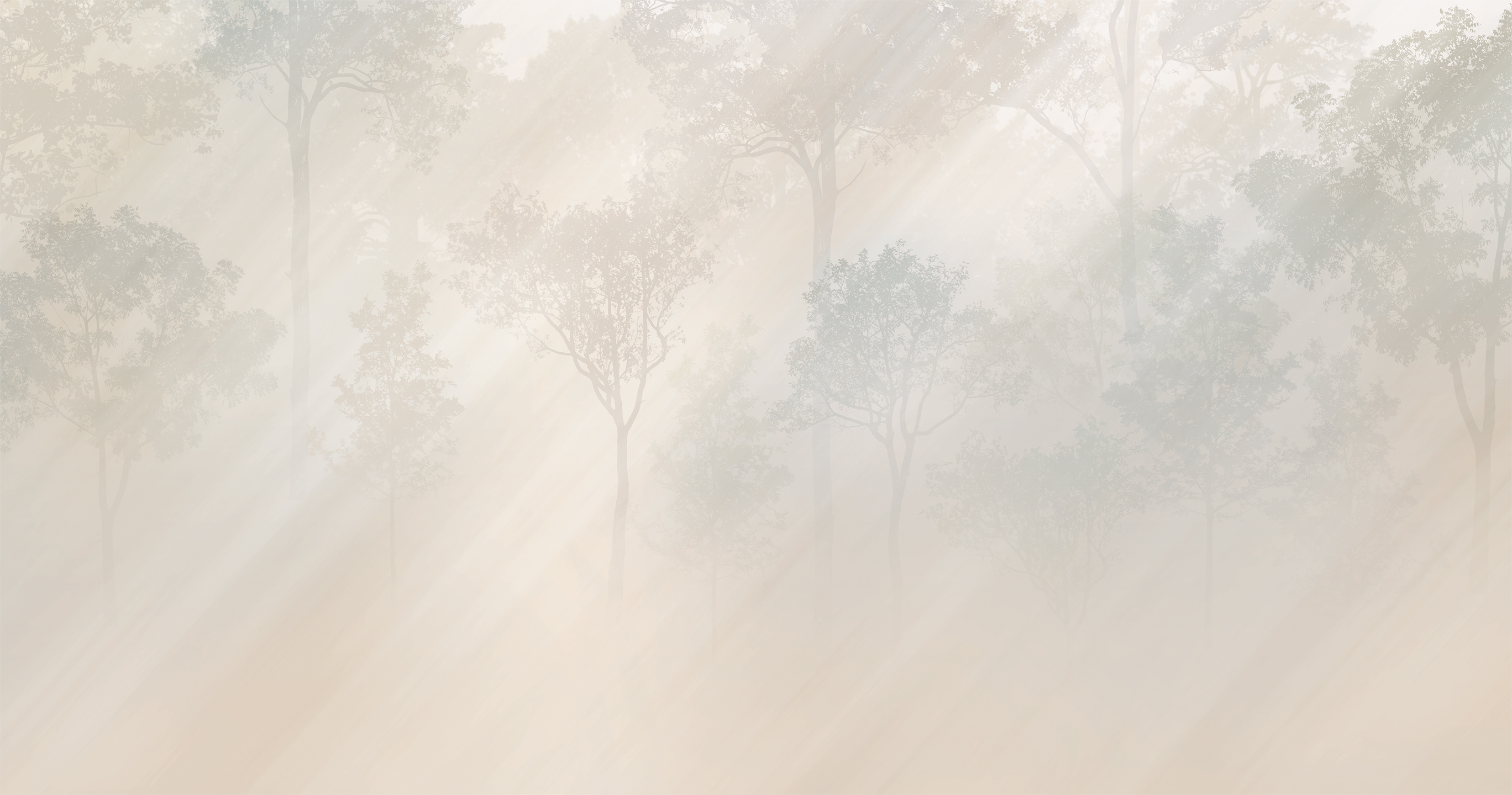 494104 Creativille Рассвет в лесу