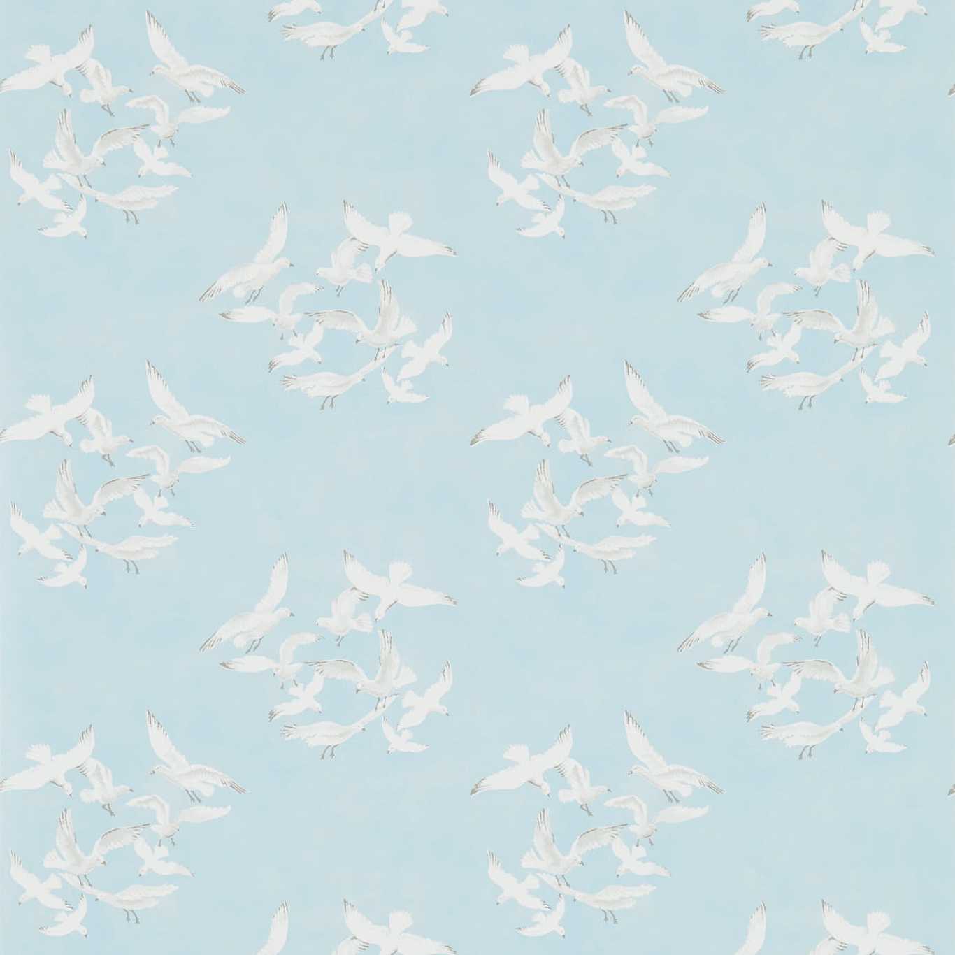 Sanderson Sanderson One Sixty Wallpapers Seagulls  DVIN214585
