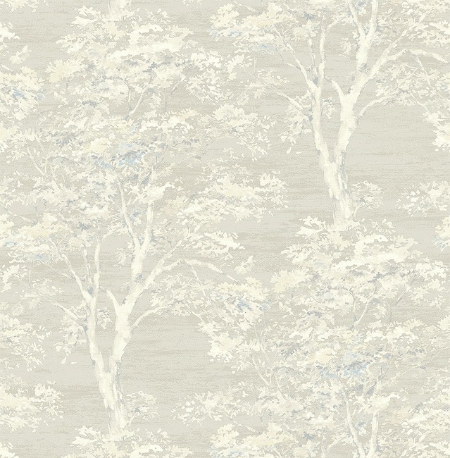 KT ExclusiveSuede se31305