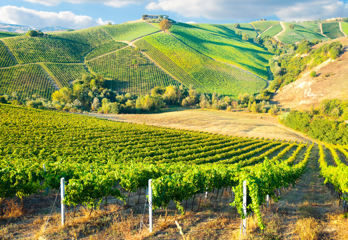 Affresco фотографии природы ID13447