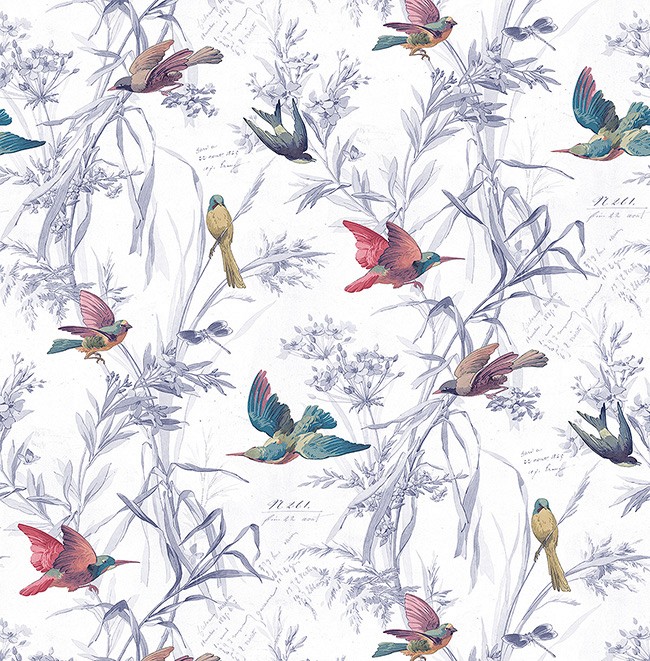 KT ExclusiveSanctuary fj40911