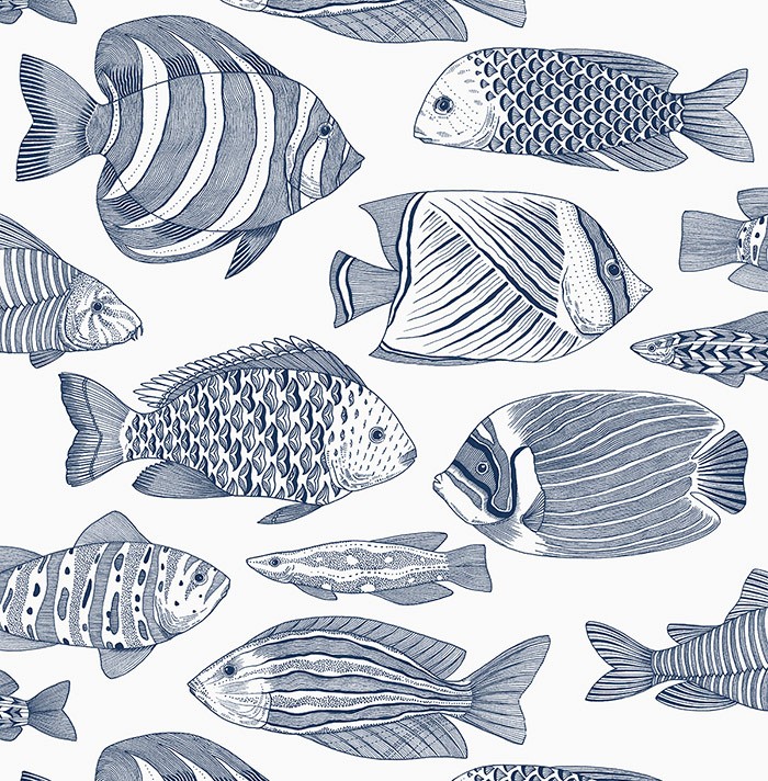 KT ExclusiveNewport ec80202