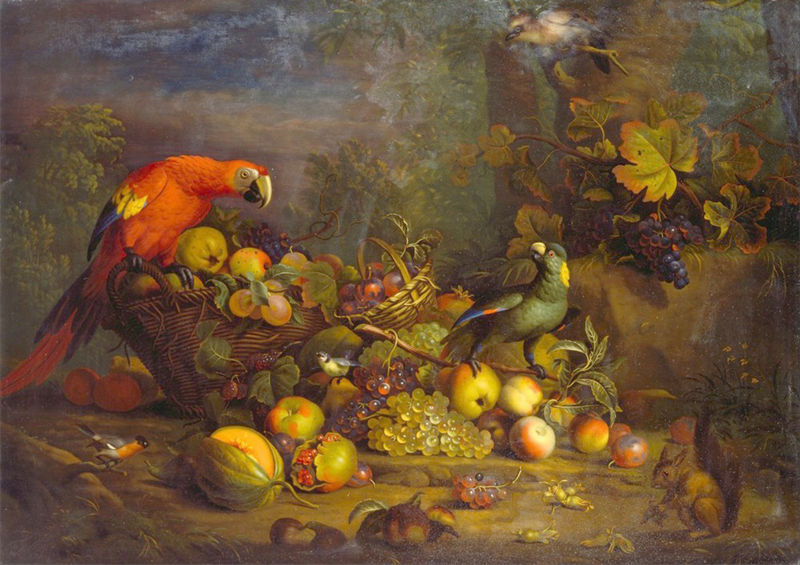 Affresco Натюрморт Tobias Stranover, Parrots and Fruit with Other Birds and a Squirrel
