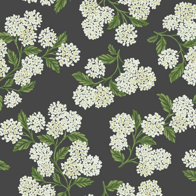 York  Rifle Paper Co. Wallcoverings  Hydrangea Wallpaper- Black & White RI5146