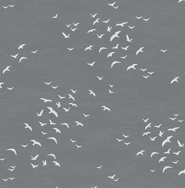 KT ExclusiveNavy, Gray and White bl70408