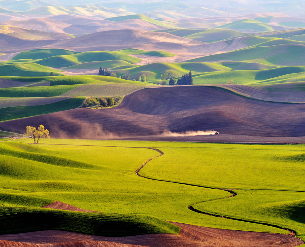 Affresco фотографии природы ID12558