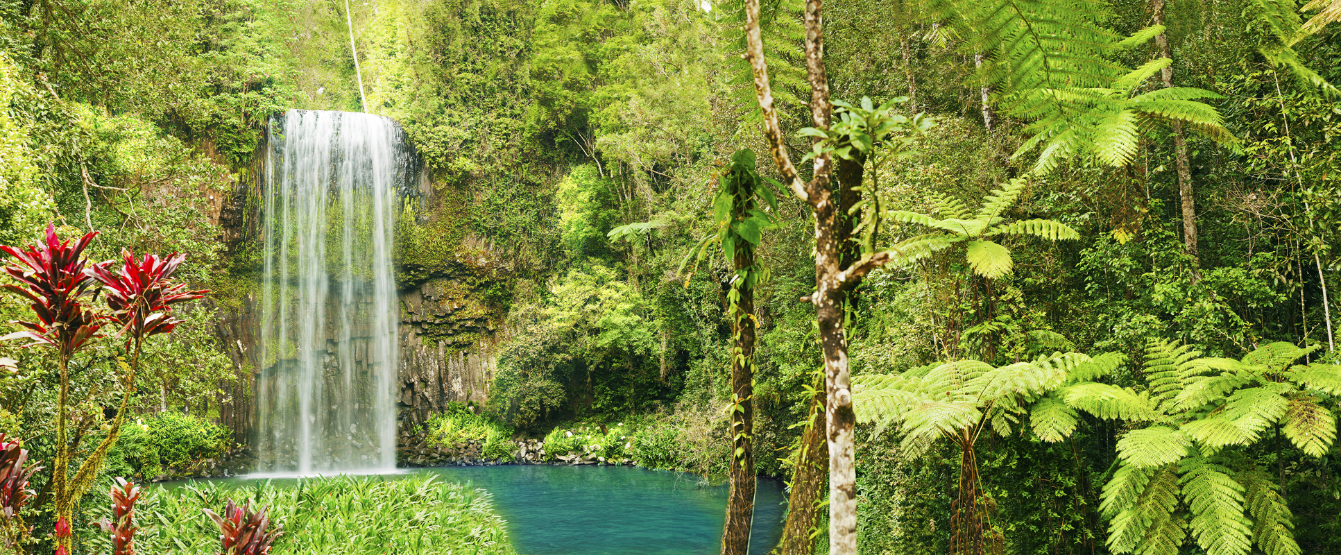 Affresco фотографии природы ID10404