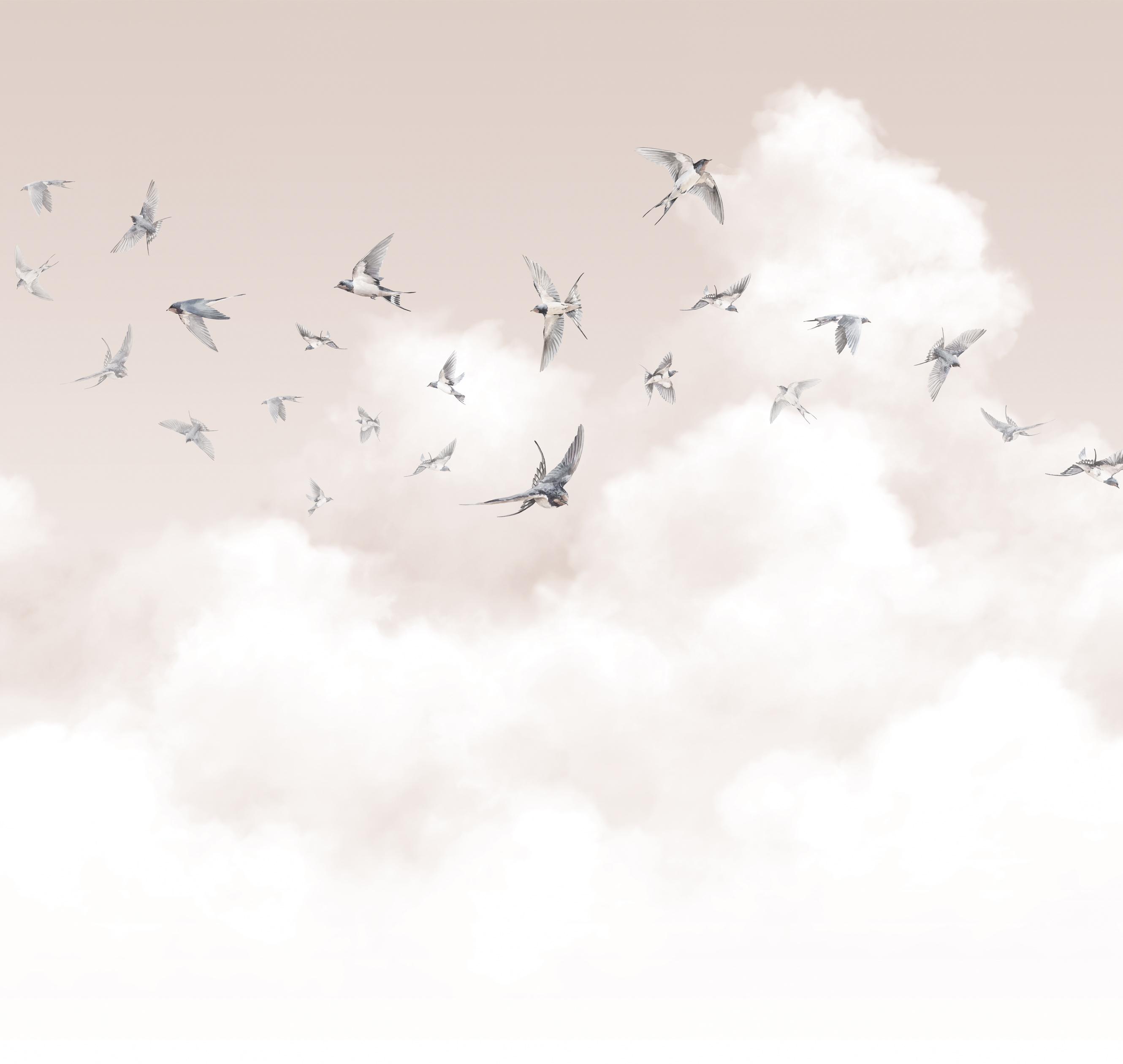 Milassa Spring Swallows AM11 003