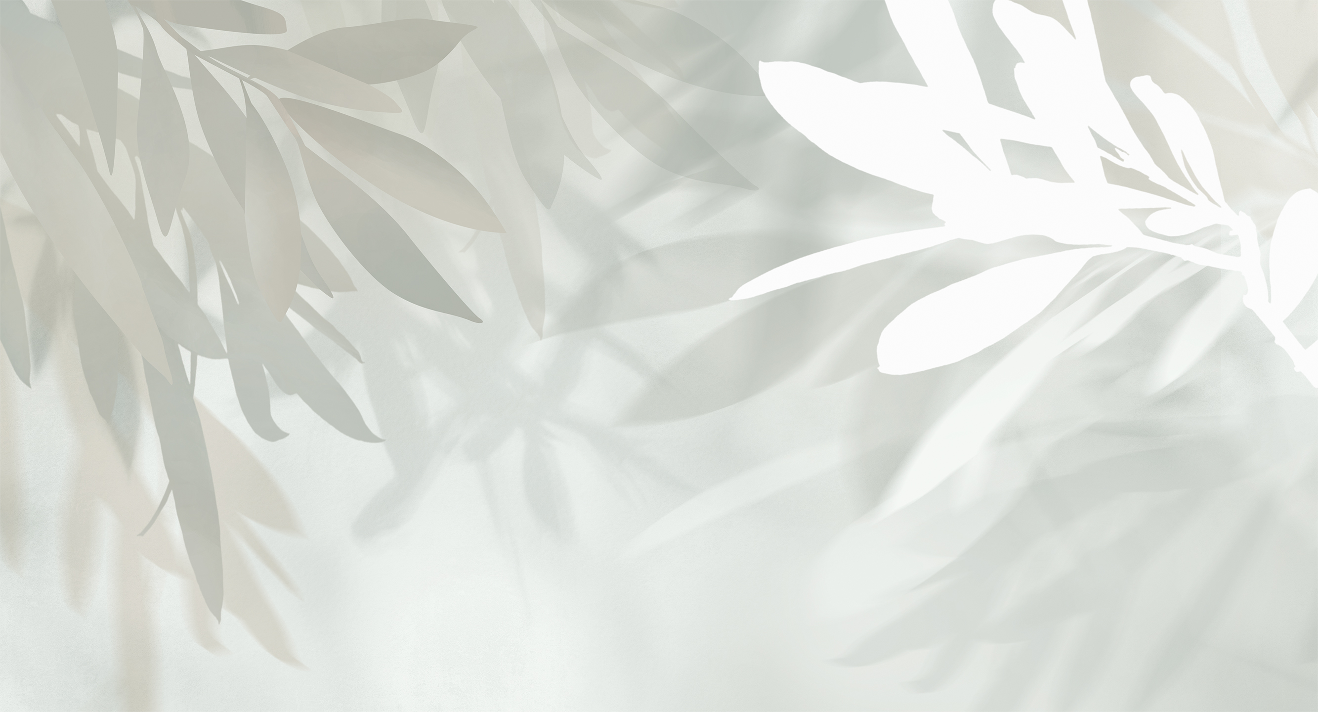 435004 Creativille Листья оливы