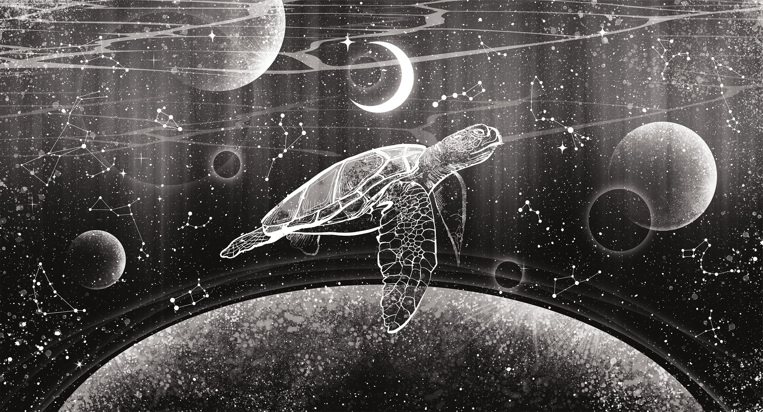 277009 Creativille космическая фантазия с черепахой