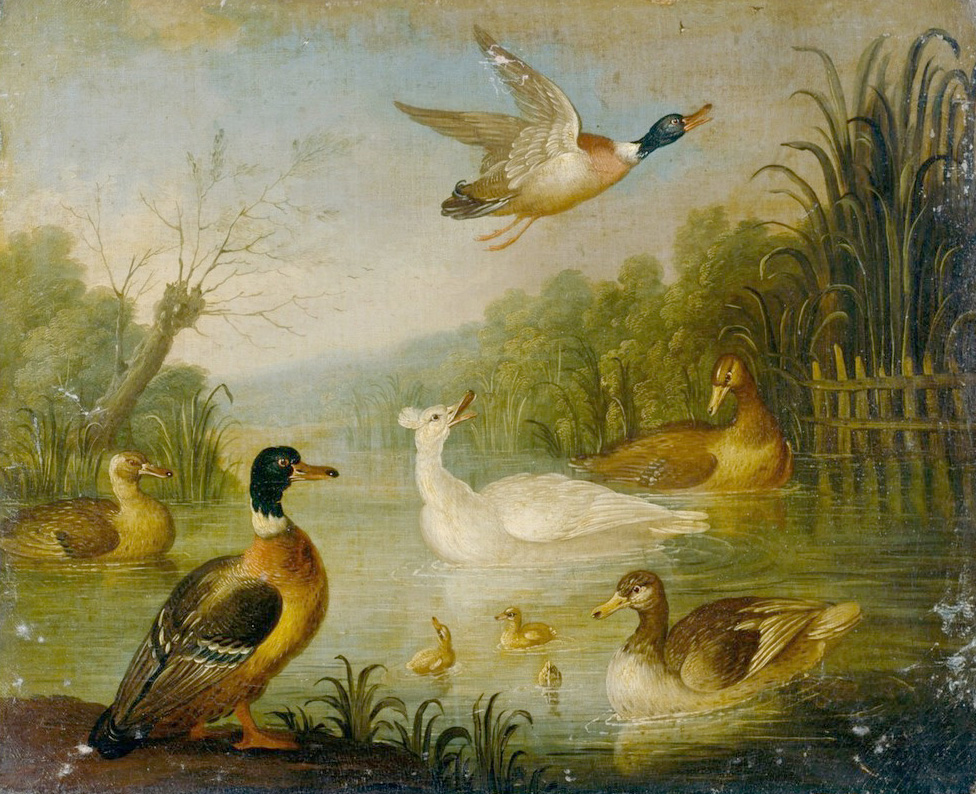 Affresco Картины с животными Cradock, Marmaduke Mallards on a Pond