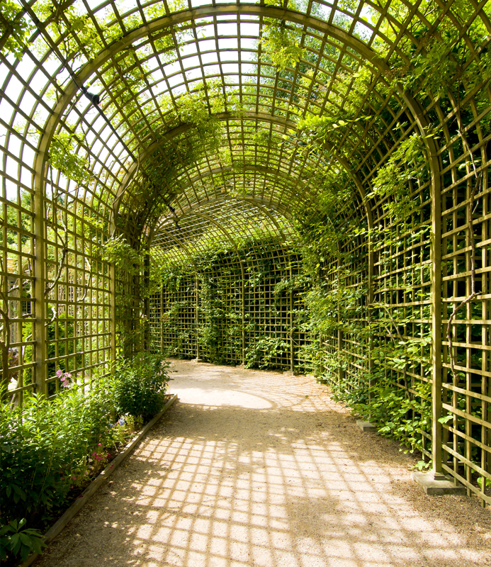 Affresco фотографии природы ID13412