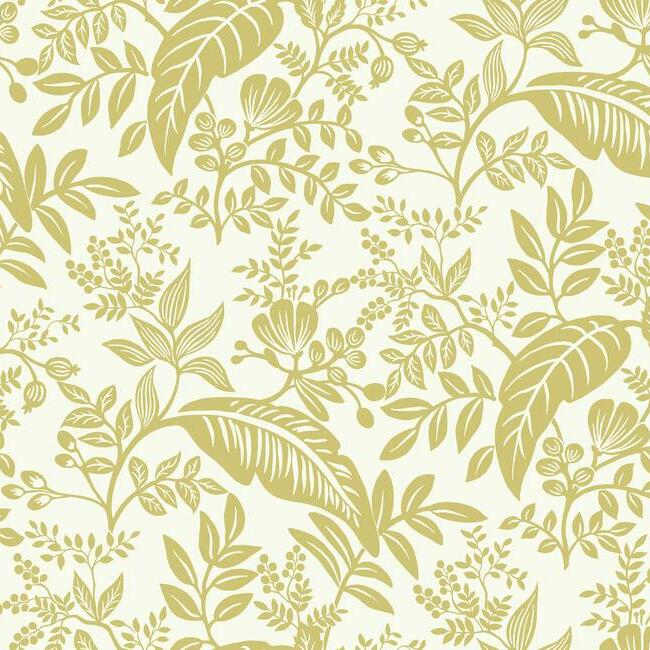 York  Rifle Paper Co. Wallcoverings  Canopy Wallpaper- Gold & White RI5138