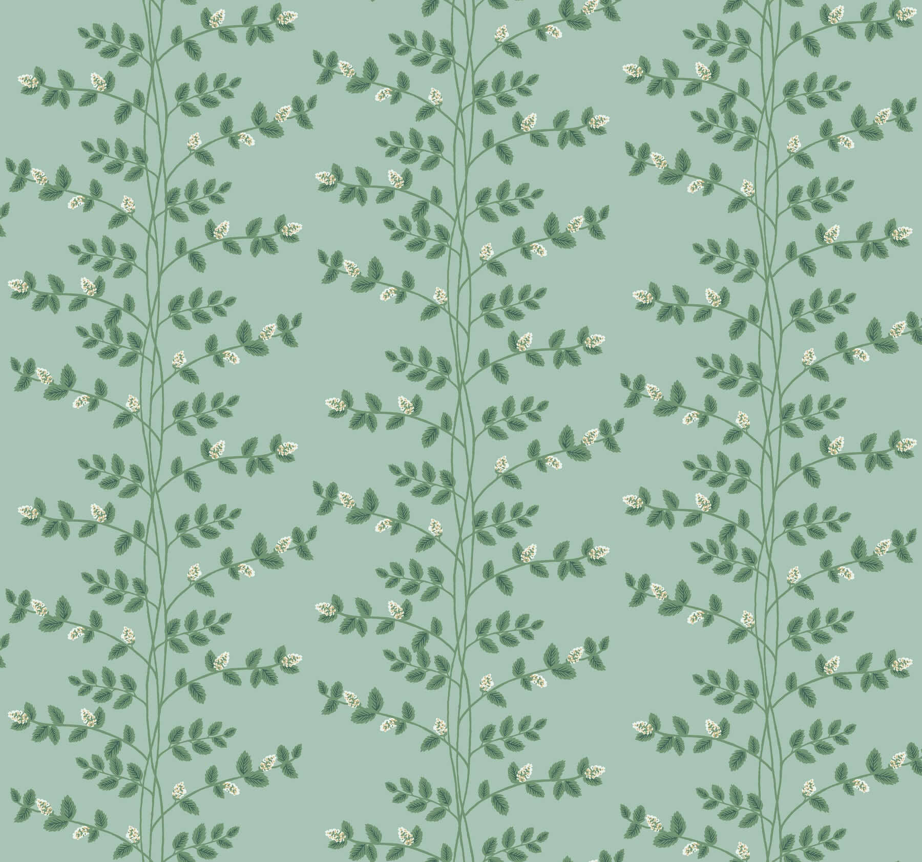 York  Rifle Paper Co. Wallcoverings  Climbing Vine Wallpaper- Soft Teal RF7421