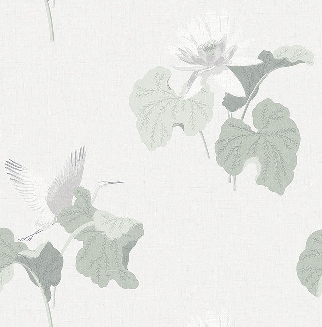 KT ExclusiveSanctuary fj40010