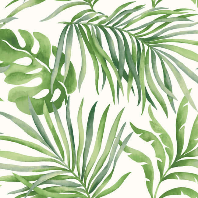 York  Candice Olson Wallcoverings  Paradise Palm Premium Peel + Stick Wallpaper- Green PSW1412RL