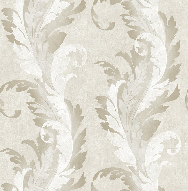 KT ExclusiveSuede se30905