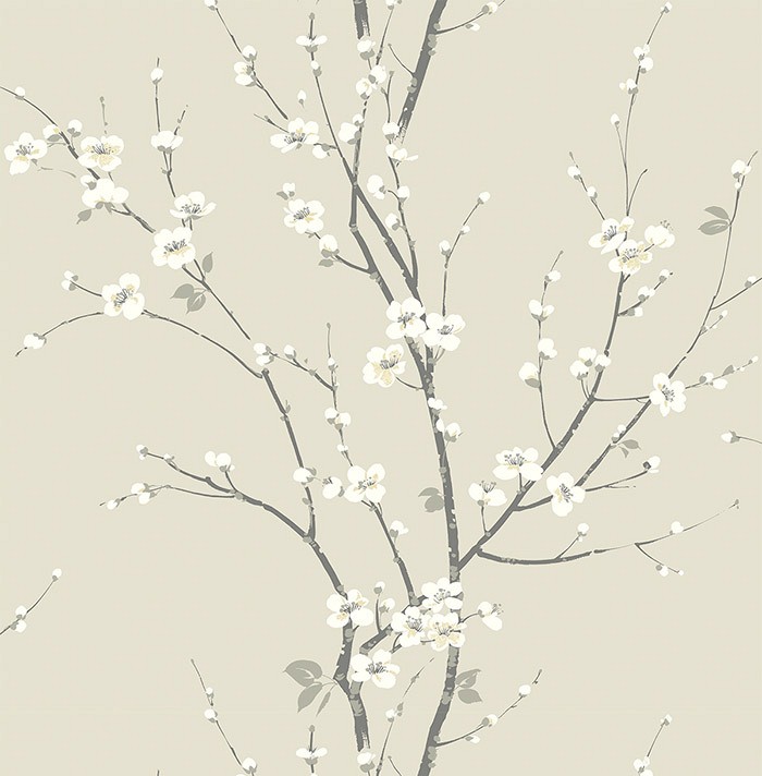 KT ExclusiveNewport ec81805