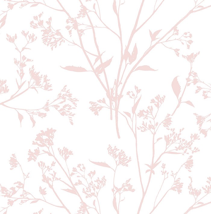 KT ExclusiveNewport ec80701