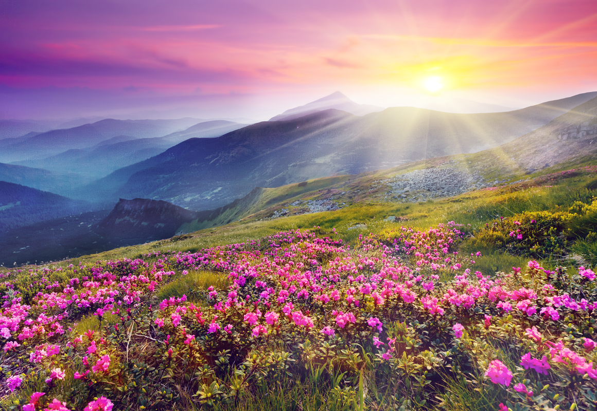 Affresco фотографии природы ID12028