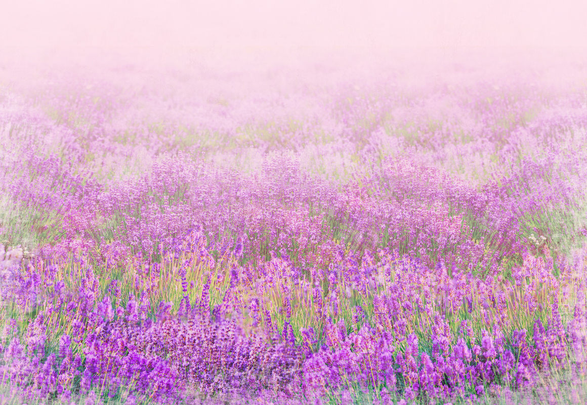 Affresco фотографии природы 9716