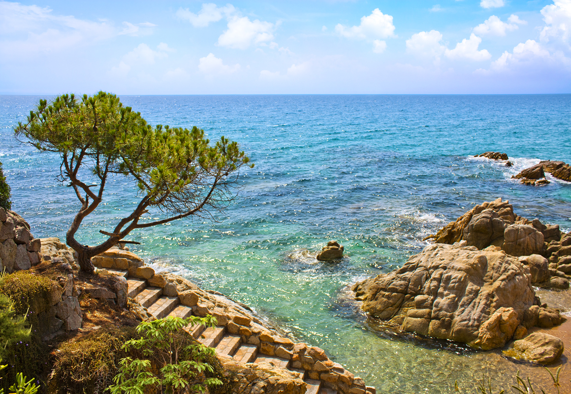 Affresco фотографии природы ID12050