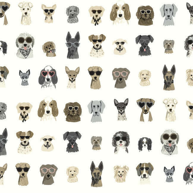 York  York Premium Peel + Stick  Dog Days Premium Peel + Stick Wallpaper- Grey PSW1462RL