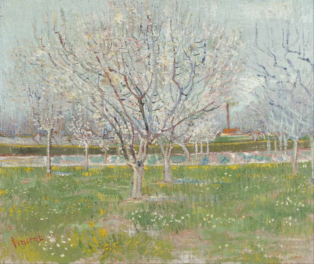 Affresco Импрессионисты и постимпрессионисты Vincent van Gogh, Orchard in Blossom Plum Trees
