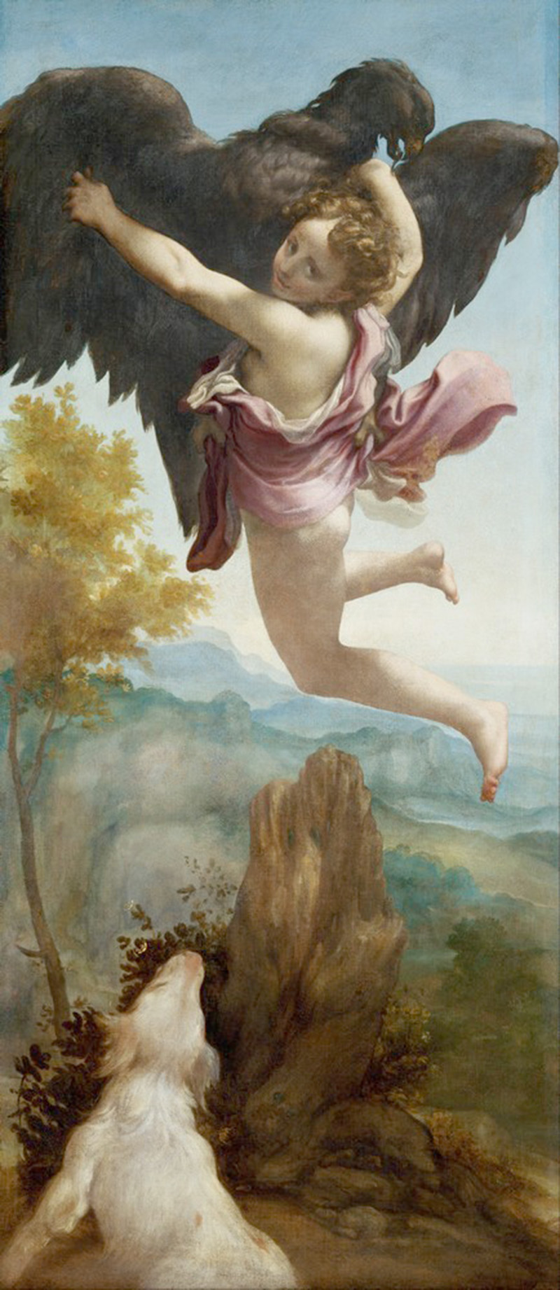 Affresco Античные сюжеты Antonio Allegri called Correggio The Abduction of Ganymede