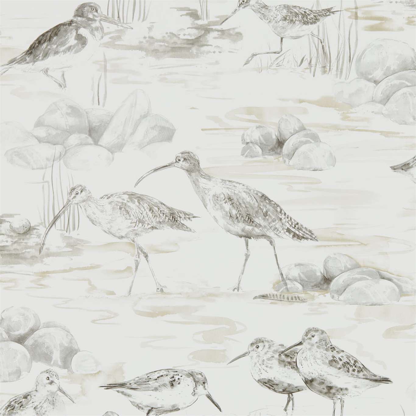 Sanderson Embleton Bay Wallpapers Estuary Birds  DEBB216493