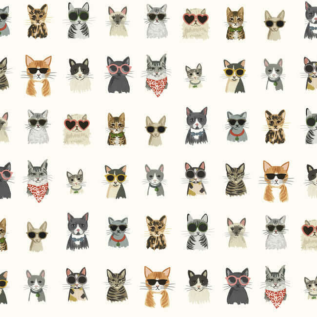 York  York Premium Peel + Stick  Cool Cats Premium Peel + Stick Wallpaper- Multi White PSW1463RL