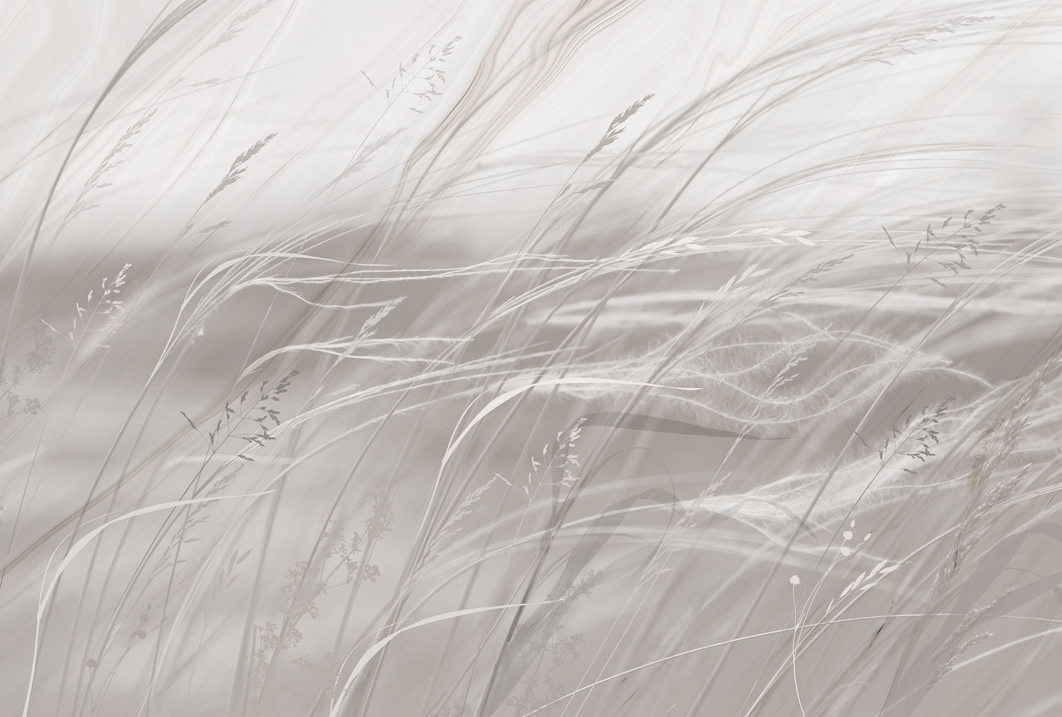 442403 Creativille степные травы