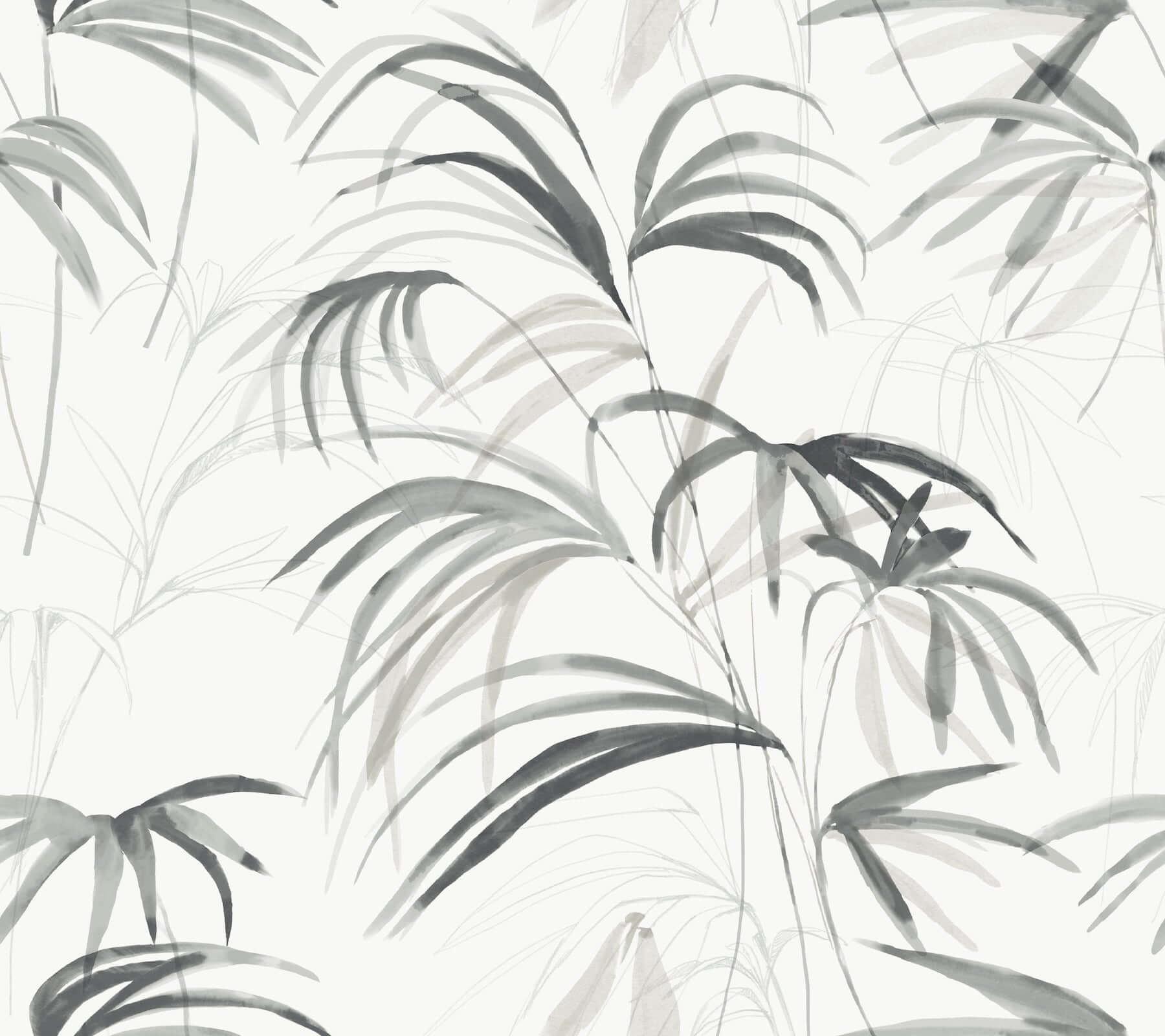 York  York Premium Peel + Stick  Inky Palms Premium Peel + Stick Wallpaper- Black PSW1611RL