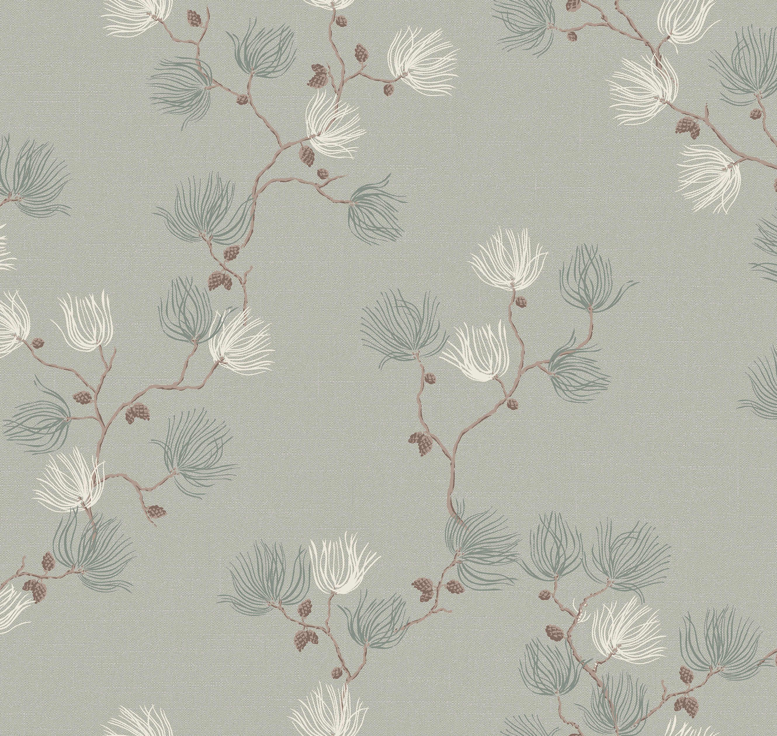 Loymina Английская сосна Brit23 005