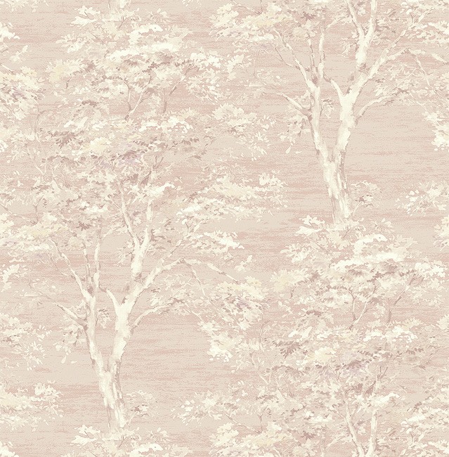 KT ExclusiveSuede se31301